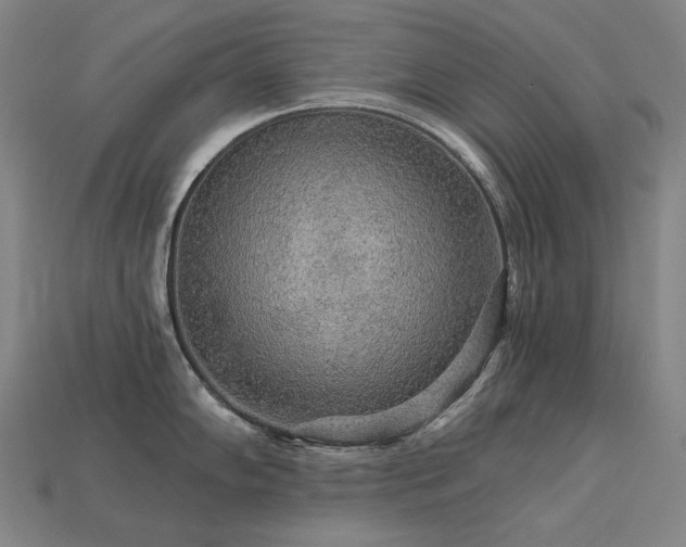 X0000113961102200909251354