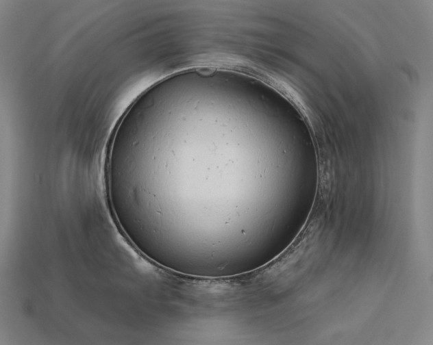 X0000113961103200909251354