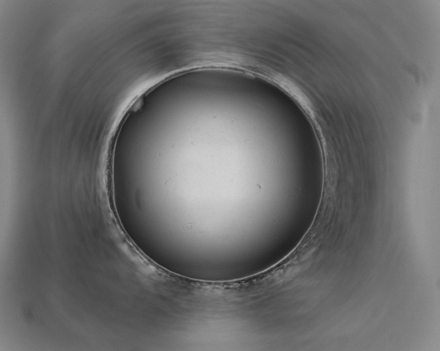 X0000113961104200909251354