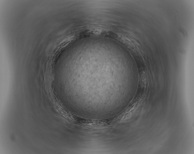 X0000113961105200909251354