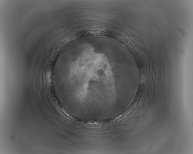 X0000113961106200909251354