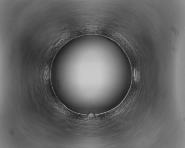X0000113961107200909251354