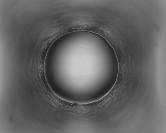 X0000113961109200909251354