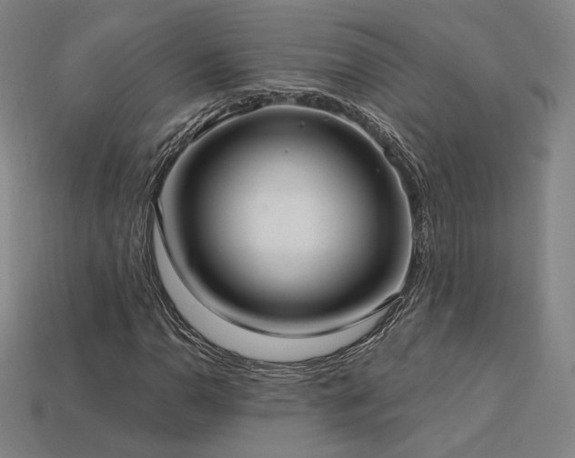 X0000113961110200909251354
