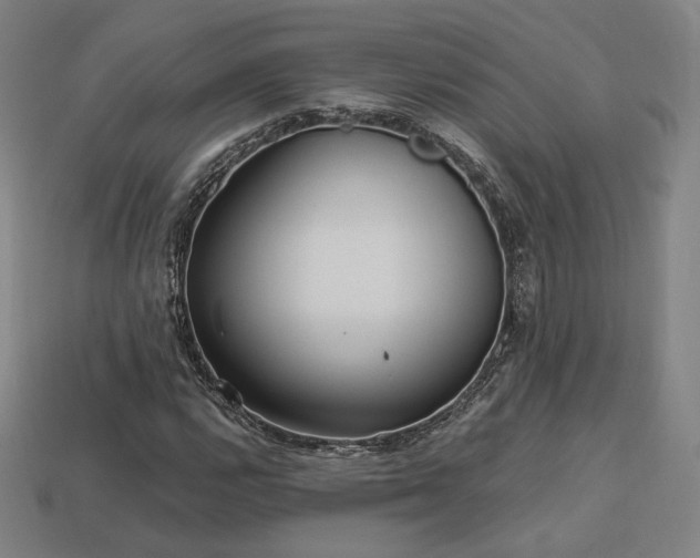 X0000113961112200909251354