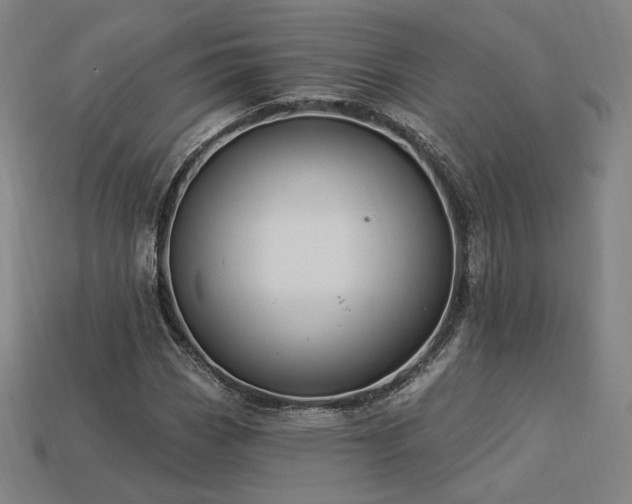 X0000113961113200909251354