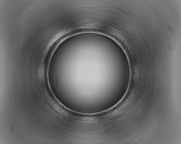 X0000113961114200909251354