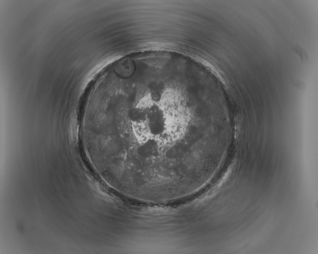 X0000113961117200909251354