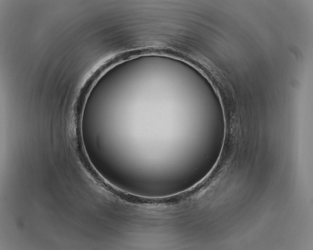 X0000113961118200909251354