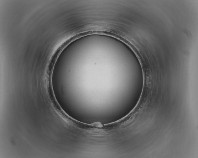 X0000113961119200909251354