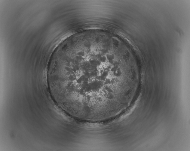 X0000113961121200909251354