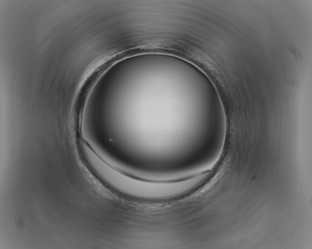X0000113961122200909251354