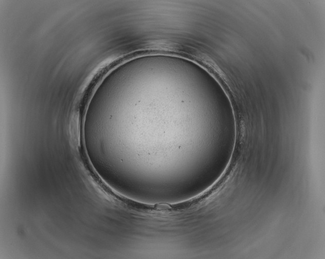 X0000113961123200909251354