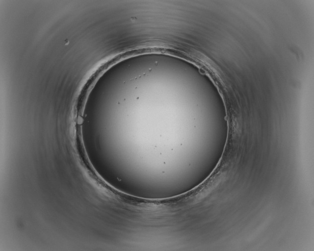 X0000113961124200909251354
