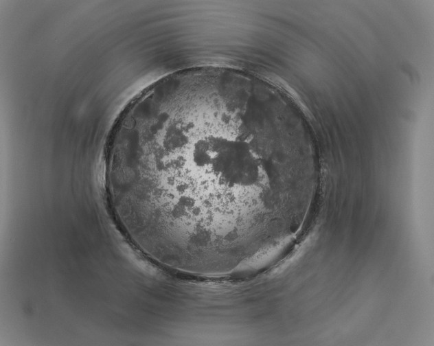 X0000113961125200909251354