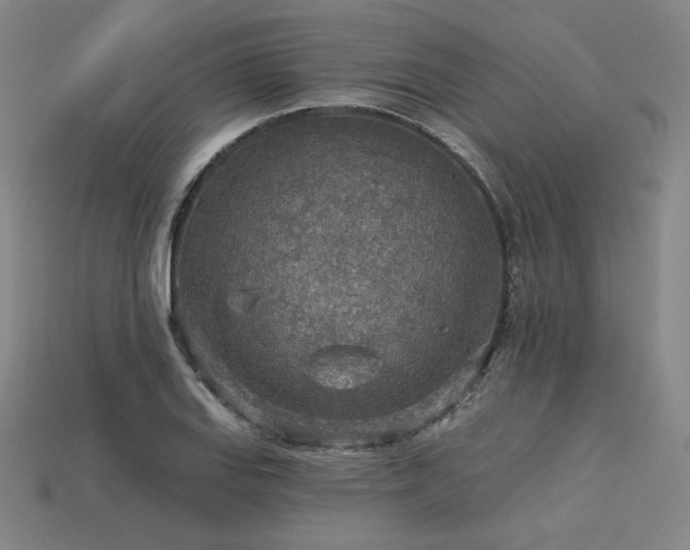 X0000113961127200909251354