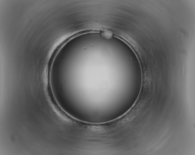 X0000113961128200909251354