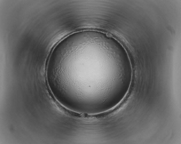 X0000113961129200909251354
