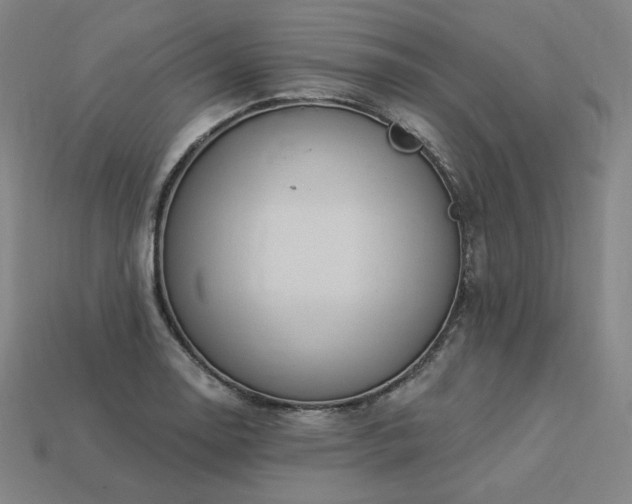 X0000113961130200909251354