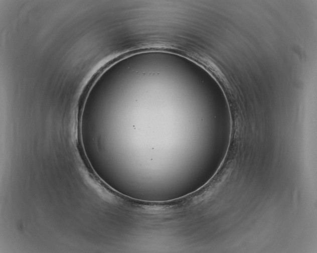 X0000113961132200909251354