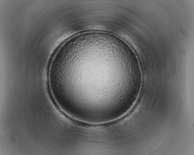 X0000113961133200909251354