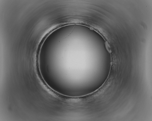 X0000113961134200909251354