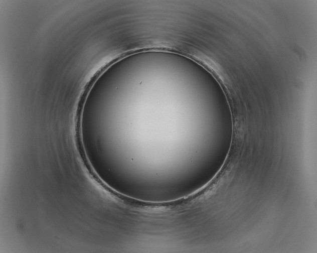 X0000113961135200909251354