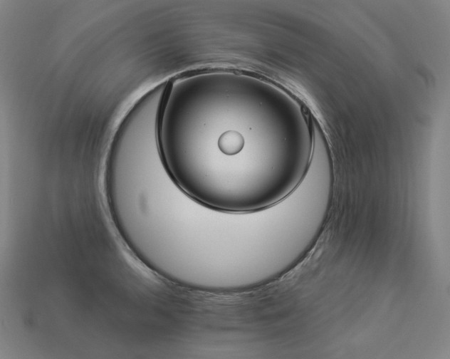 X0000113961136200909251354