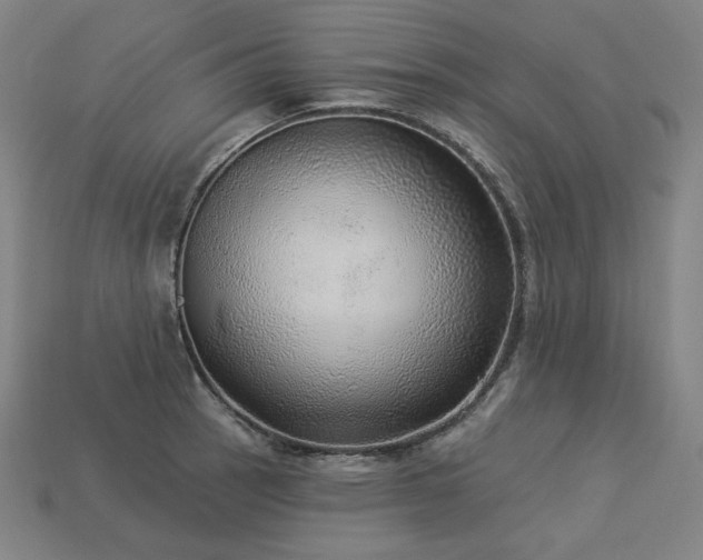 X0000113961137200909251354