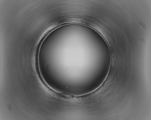 X0000113961139200909251354
