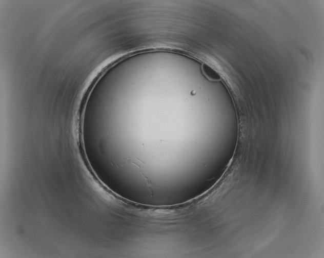 X0000113961140200909251354