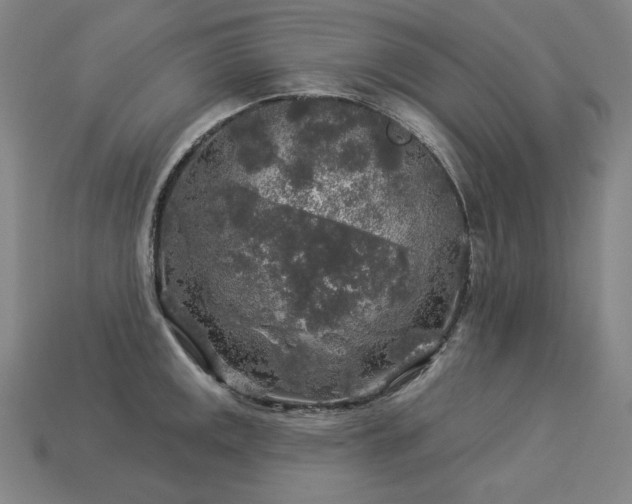 X0000113961141200909251354