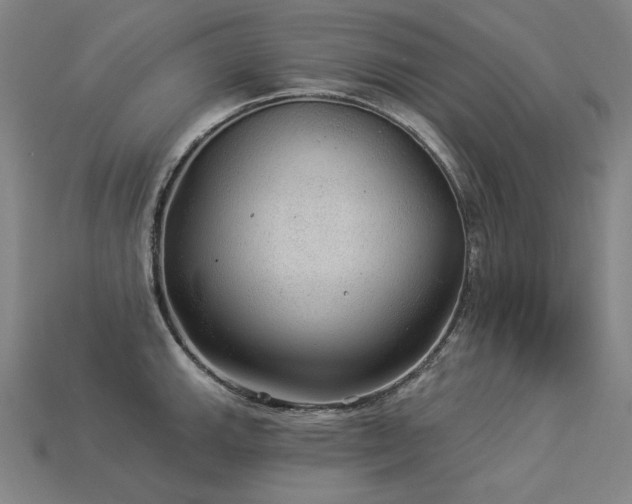 X0000113961143200909251354
