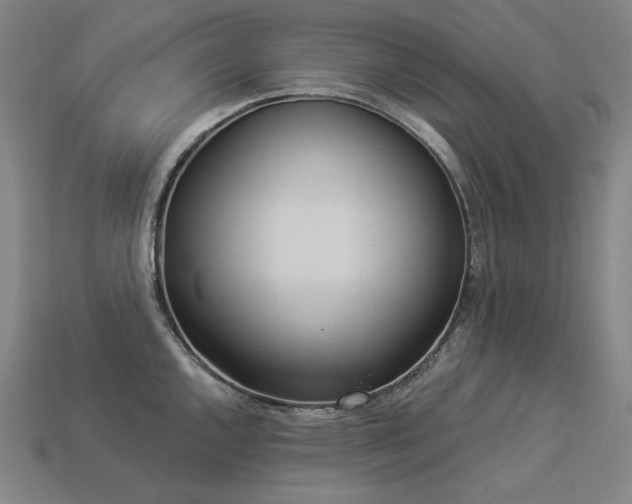 X0000113961144200909251354