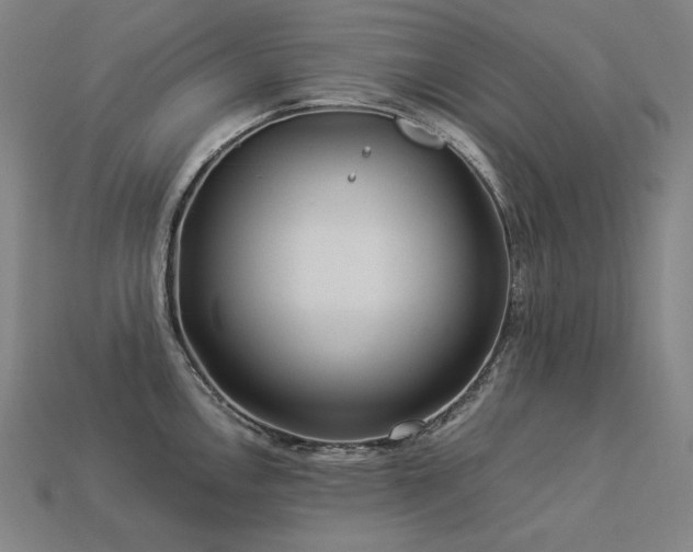 X0000113961146200909251354