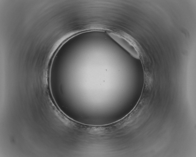 X0000113961148200909251354