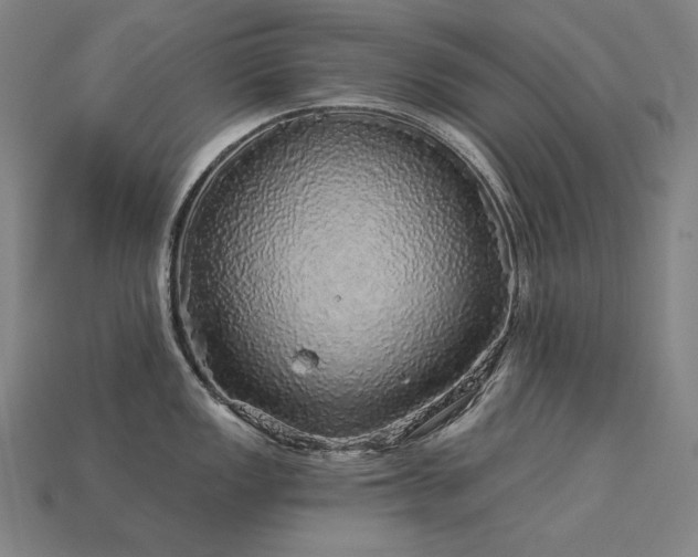 X0000113961149200909251354