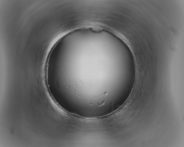X0000113961152200909251354