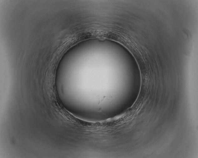 X0000113961153200909251354