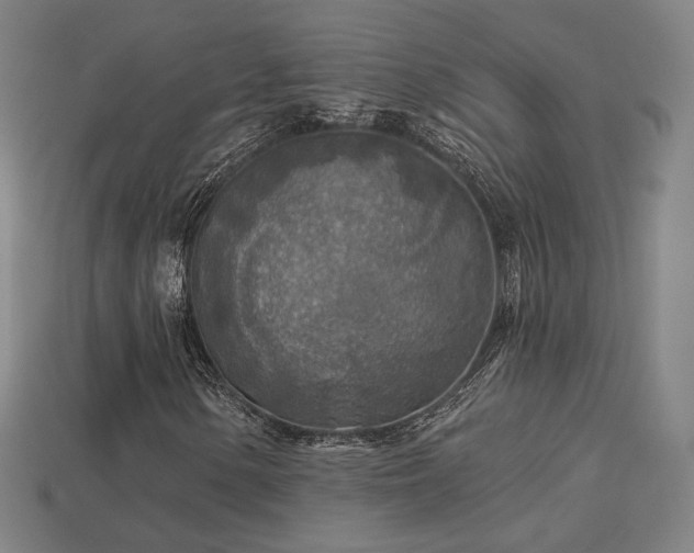 X0000113961154200909251354