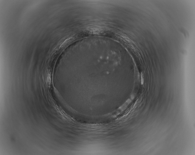 X0000113961155200909251354