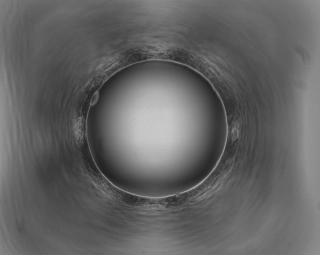 X0000113961156200909251354