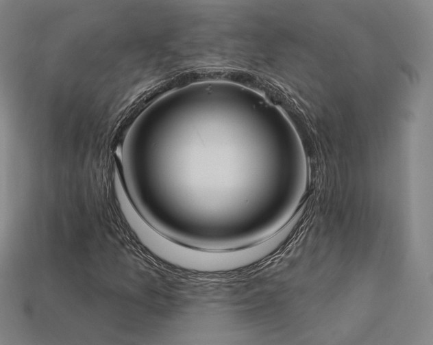 X0000113961157200909251354