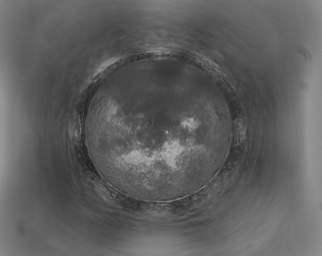 X0000113961158200909251354