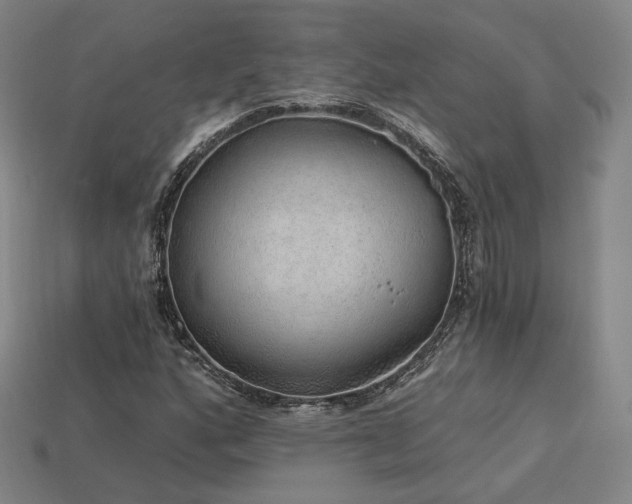 X0000113961160200909251354