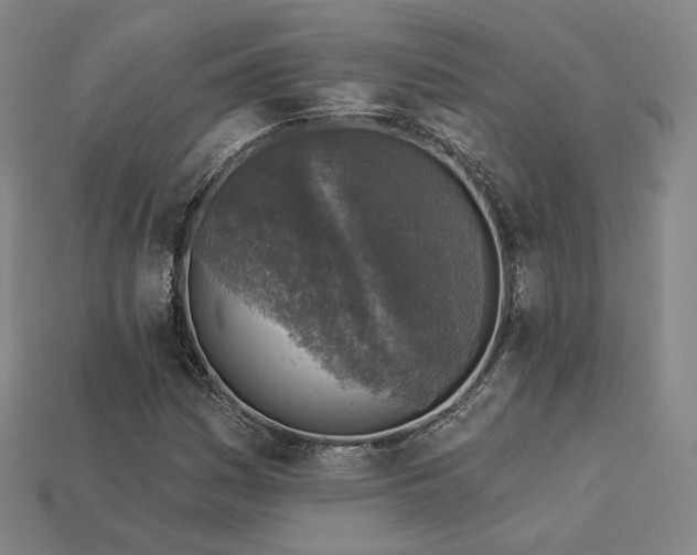X0000113961161200909251354