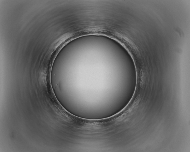 X0000113961162200909251354