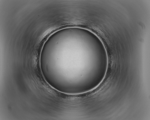 X0000113961163200909251354