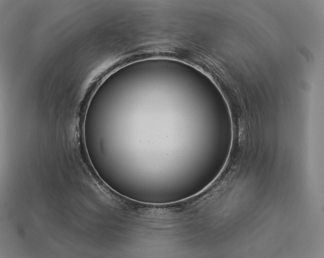 X0000113961164200909251354