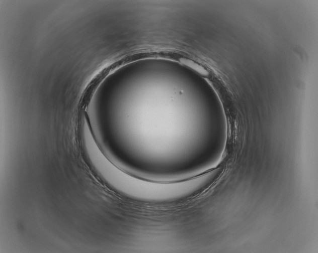 X0000113961165200909251354